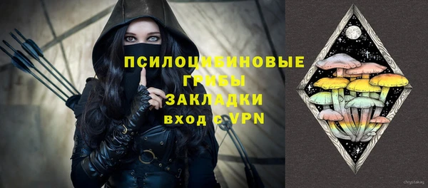 шишки Алзамай